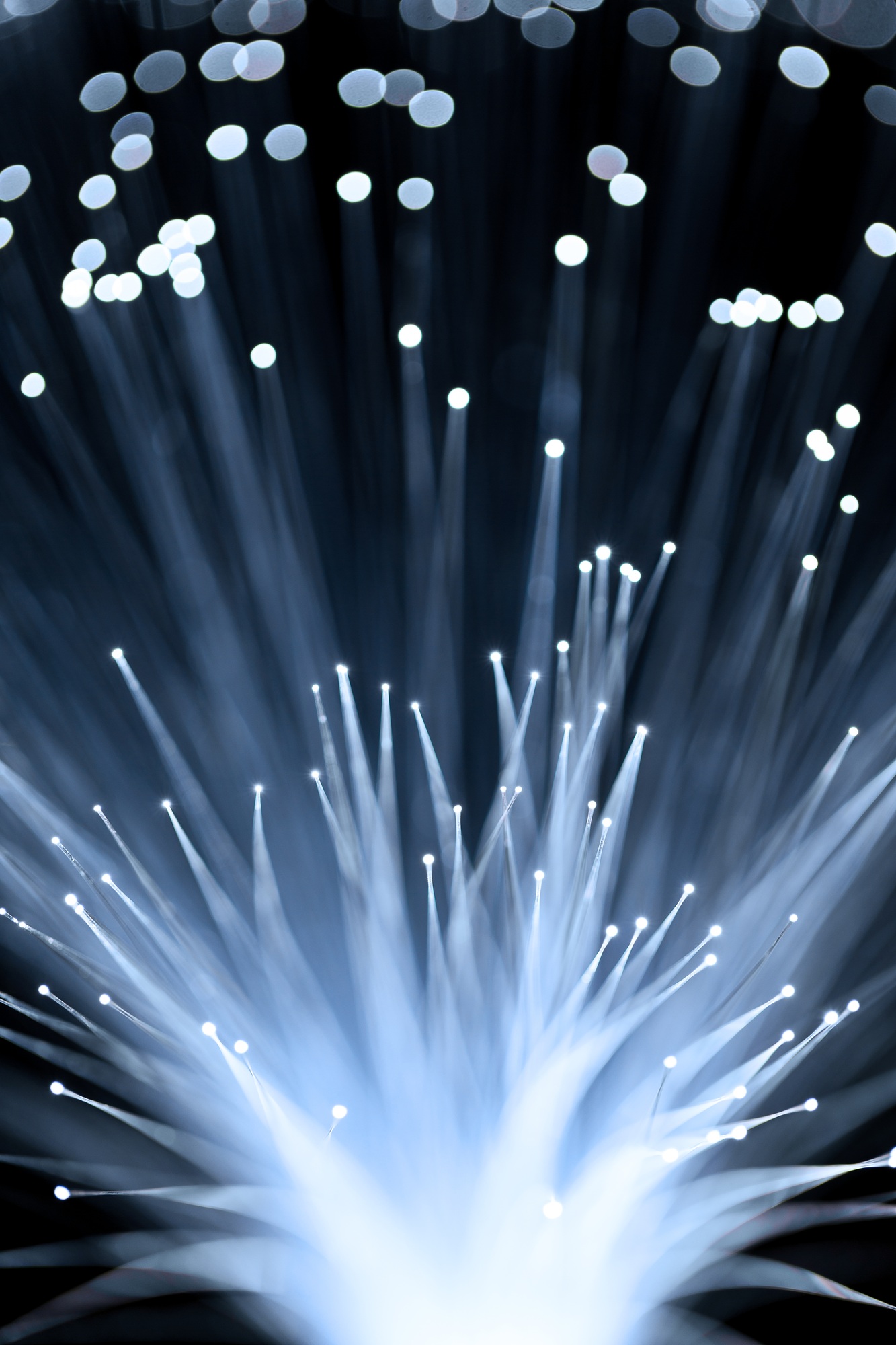 Fiber Optic